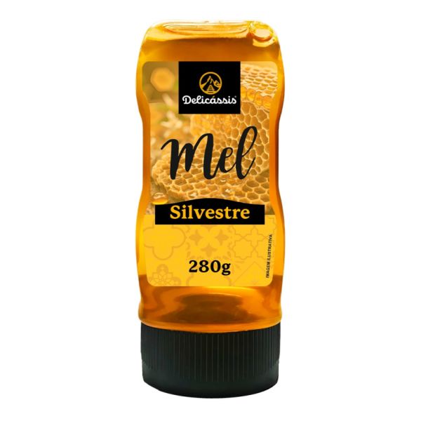 Mel Silvestre 280g 1 UN Delicássis