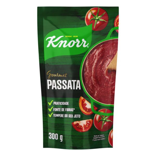 Molho de Tomate Knorr Passata 300g 1 UN