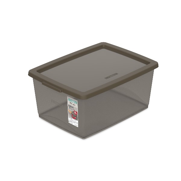 Caixa Organizadora Ordene Fumê OR80559N 15L 1 UN