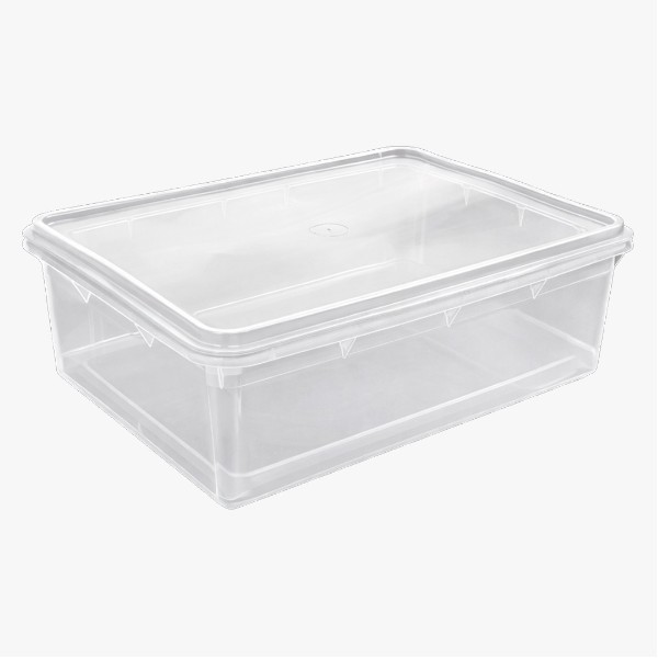 Caixa Organizadora Plasvale com Tampa 6,5 a 7,5L Cristal 33,8x23x11,5c