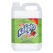 Desinfetante Bactericida Kalipto 5L Eucalipto 1 UN