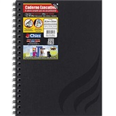 Caderno Executivo Capa Dura 100 FL Wire-O 1 UN Chies